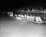 Cat Team Dugout