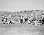 TCU Versus Kansas Football Action