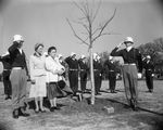 Arlington State College Memorial Tree
