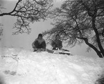 Brothers Clay, left, and Stephen Wilson sledding in Fort Worth after snowfall