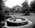 Garden at the Edward G. Parker family residence, 4909 Crestline Road, Fort Worth, Texas