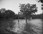 Eagle Mountain Lake Flood