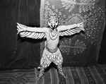 Kim Cantey spreads his wings as the Garuda Bird in Nala and Damayanti