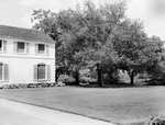 Lawn at H. L. Brown Home
