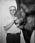 Harrell Ashburn Senior and Grizzly Bear Trophy, he's hunted in Yuken, Alaska, British Columbia