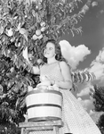The pretty peach picker on the cover is LaDonna Johnson