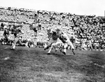 Texas Christian University (TCU)-Kansas football action. Harry Moreland, 22, running with ball with John Peppercorn, Kansas, 71, trying to tackle