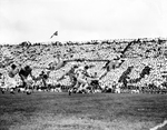 Texas Christian University (TCU)-Kansas football action. Merlin Priddy, 33, making touchdown by Al Panzera
