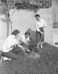 Westview Garden Club