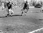 Baylor-Texas Tech football action. Buddy Humphrey, Baylor, tackling Bob Witucki by George Smith
