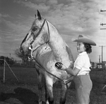 Mary Garland grooming her horse Powderpuff