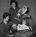 Texas Christian University Freshman Challenge