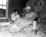Jack Roper and Cecil Stanford in barn