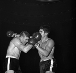 Boxing Action by Al Panzera