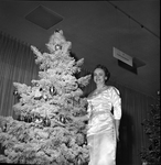 Garden Club Council Christmas Ideas Show