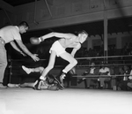 Boxing Action by Al Panzera