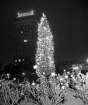 Yule Tree lighted in Burk Burnett Park by George Smith