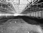 Poultry building interior