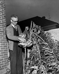 Leo R. Kent With a Stalk of Bananas