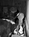 Ranch and Farm: Kenneth Bruner and Hereford Calf, "Middle ground" by Key Herbert