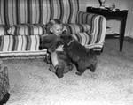 Child and puppies