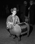 Boys' champion lamb