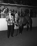Champ Jole Blon, quarter horse