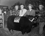 Southwestern Exposition & Fat Stock Show. Shown with "Meadow Gold"