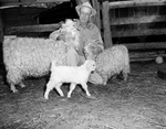 I. S. Echols with Angora goats