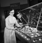 Public Library display of shells by June Wasserman with Donald H. Lokke