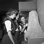 Museum Visitors