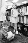 West Branch Library by Norman Bradford
