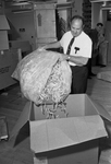 E. B. Brown with foam strips at the Amon Carter Museum of Western Art