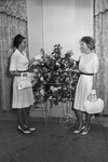 Mrs. Travis L. Lanham, And Mrs. Charles H. Haws