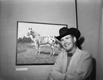 Stock Show