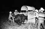 Pioneer Days Rodeo