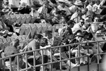 Turnpike Stadium