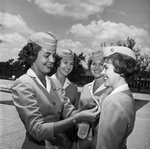 American Airlines Stewardess College Graduation