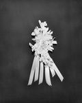 Bride Section; bridal bouquet