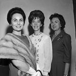 Mrs. Donald L. Hudgins, with Mrs. Jimmy E. Broyles and Mrs. Whitfield J. Collins