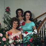Fort Worth Camellia Show; Lou Hill, queen, with Harriet Eaker, and Linda Jay Johnson