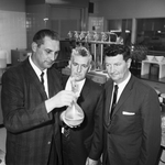 Carling Brewing Company; Matt Pitzl of Tacoma, Washington, Ed McCann of Natick, Massachusetts, and George Lingelbach of Belleville, Illinois
