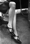 Fashion; Hose; Plain fancy stockings