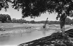 Channelization of Trinity River