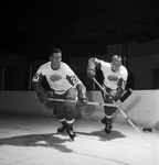 Fort Worth Wings ice hockey