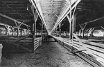 Empty sheep pens on south side of Exchange Ave., Fort Worth stockyards, 1972