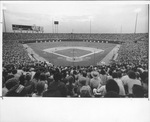 Arlington Stadium, 1977