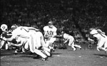 University of Arkansas quarterback Bill Montgomery (#10) in game against Texas Christian University (T. C. U.)