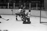 Fort Worth Wings vs. Omaha Knights ice hockey; Wings' defenseman Lee Carpenter (#2) by Al Panzera