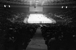 Fort Worth Wings vs. Dallas Black Hawks by Al Panzera